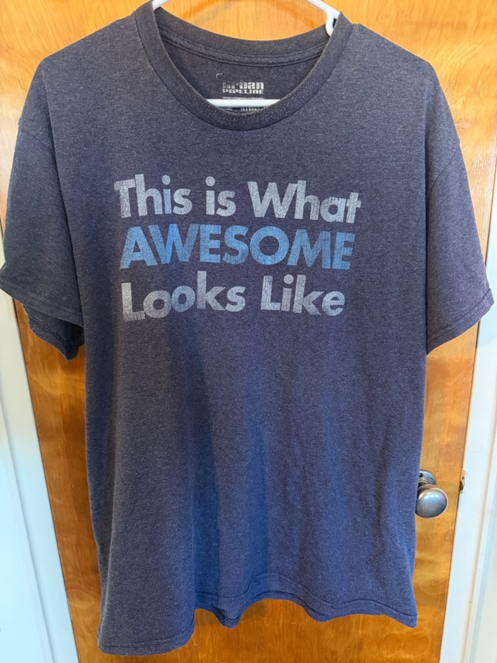 "This is What AWESOME Looks Like" Graphic Tee - Navy
